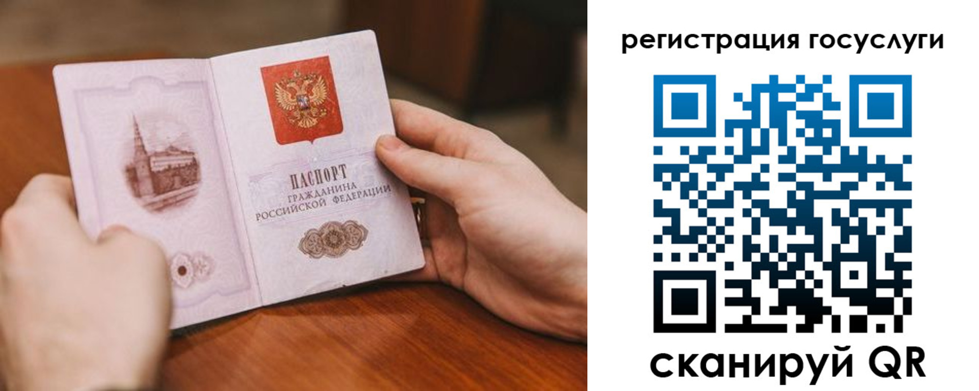 прописка поиск в Льгове